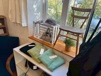 【buddi（ブディ）】日常使いできる！お手頃価格も魅力な洋服のセレクトショップ｜松江市