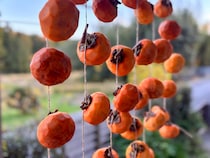 たくさんできた「干し柿」のアレンジレシピ。ゴマ団子風スイーツや、ご飯のお供になる干し柿味噌【鳥取田舎くらし】