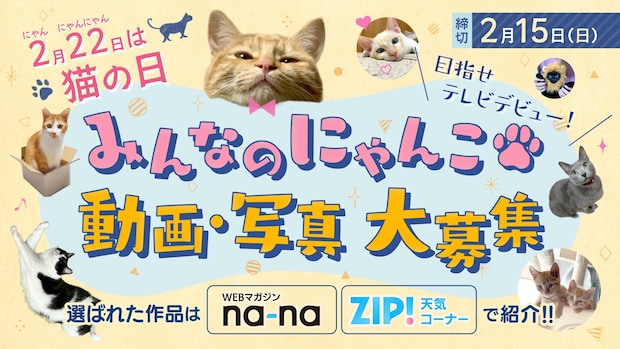 【猫の日】ネコ動画・写真を募集中！選ばれた作品はテレビ・WEBマガジンでデビュー♪