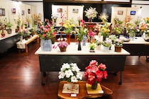 和紙で作る、まるでフワフワの花畑！鳥取の伝統和紙で作る「和紙の華展」が開催中｜鳥取市