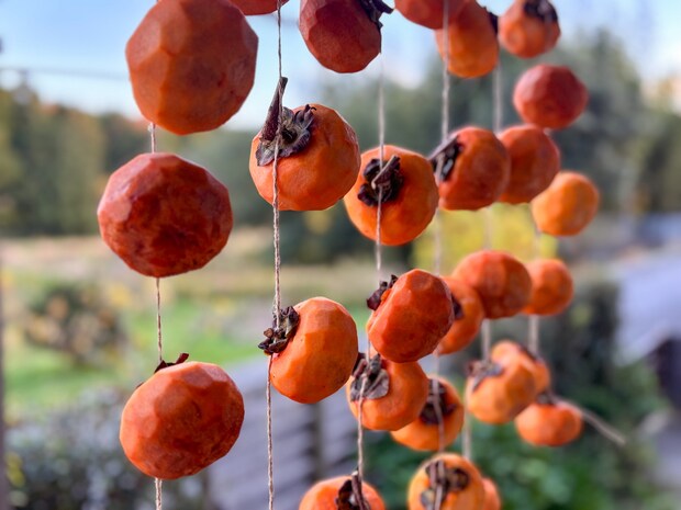 たくさんできた「干し柿」のアレンジレシピ。ゴマ団子風スイーツや、ご飯のお供になる干し柿味噌【鳥取田舎くらし】