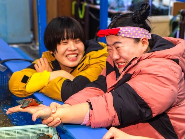 ガンバレルーヤがカニが主役の無料水族館へ!海の生き物の不思議な感触に絶叫~|鳥取市