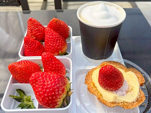 11品種を栽培する農園のイチゴ狩り♪寒さ厳しい山間の地域で育つ甘くて香り高いイチゴをスイーツと一緒に！｜島根県益田市