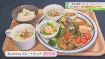 【そらにわ松江店】店内には植物がいっぱい！ランチからスイーツまで楽しめるカフェ｜松江市