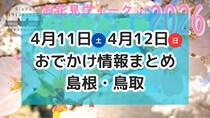 桜やチューリップを楽しむお祭りや親子で楽しめるイベントも！4月11日・12日週末おでかけ情報【島根・鳥取】