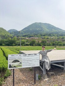 茶摘み茶摘み♪新緑の季節にお茶処津和野でゆったりお茶時間を楽しんでみては♪｜島根県津和野町