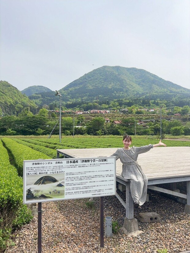 茶摘み茶摘み♪新緑の季節にお茶処津和野でゆったりお茶時間を楽しんでみては♪|島根県津和野町