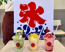 大人気のパン屋さんがかき氷を提供！7月には新店舗も！？｜琴浦町
