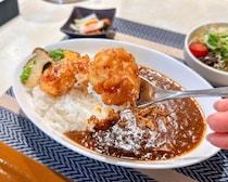 どんなカレーに出会えるかはお楽しみ♪地産地消、種類豊富の日替わりメニューが人気のカレー屋さん｜鳥取県湯梨浜町