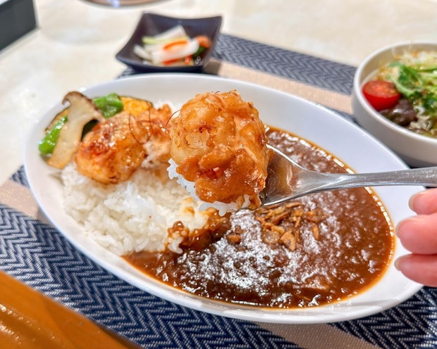どんなカレーに出会えるかはお楽しみ♪地産地消、種類豊富の日替わりメニューが人気のカレー屋さん|鳥取県湯梨浜町