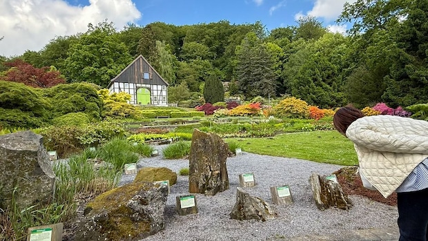 世界各国の3,000種類以上の植物が楽しめる!ドイツのボタニカルガーデン
