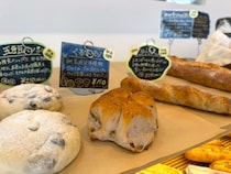 思わずまた行きたくなる！くるみパンが絶品の松江の黄色いパン屋さん　｜島根県松江市