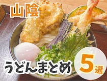 夏に嬉しいつるんとしたのど越し！鳥取・島根のうどんまとめ５選