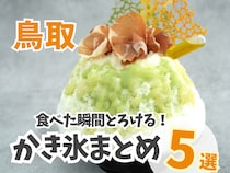 綿雪のようなふわふわかき氷やケーキ屋さんの本気の1杯も！鳥取かき氷まとめ5選｜