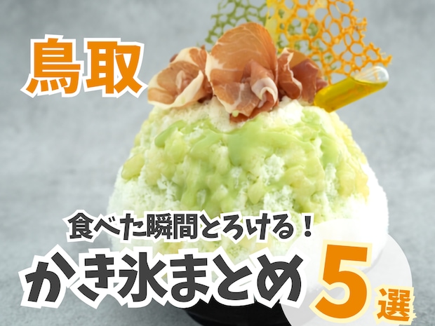 綿雪のようなふわふわかき氷やケーキ屋さんの本気の1杯も！鳥取かき氷まとめ5選｜