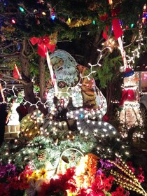 NYが誇る2大クリスマスイルミネーションスポットをご紹介！関千絵美のNYライフ vol.3