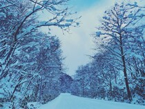 フリーランスディレクター田上陽子の北海道移住ライフ「仁木町に引っ越しました」