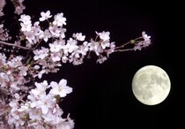 2024年3月の満月は25日16：00ちょうど。22日から28日は体調の変化に注意しよう【今月の不調予報】