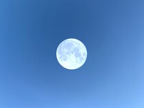 2025年最後の満月は12月5日（金）の8時14分。2日から8日は睡眠不足や体調不良に注意！【不調予報】