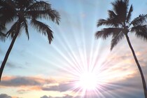 2026年1月の最強開運日は7日（水）の一粒万倍日！月の前半に勝負をかけて【吉日カレンダー】