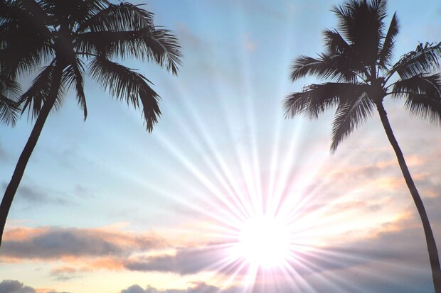 2026年1月の最強開運日は7日(水)の一粒万倍日!月の前半に勝負をかけて【吉日カレンダー】