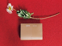 心ときめくお財布で新年をアップデート！携帯性も収納力も叶えてくれる【二つ折り財布】7選