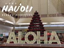 「超便利なのに日本で見つけられないの！」 吉川ひなのがハワイのマルシェ＆スーパーで買ったもの