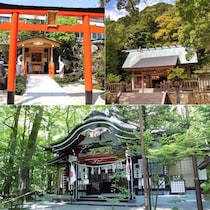 【金運アップのご利益を厳選】人気占い師・佐藤ただすけさんが選ぶ2025年行くべき開運神社3選