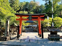 2024年は干支の「辰」にまつわる神社がイイ！ 佐藤ただすけさんに聞くパワースポット神社3選