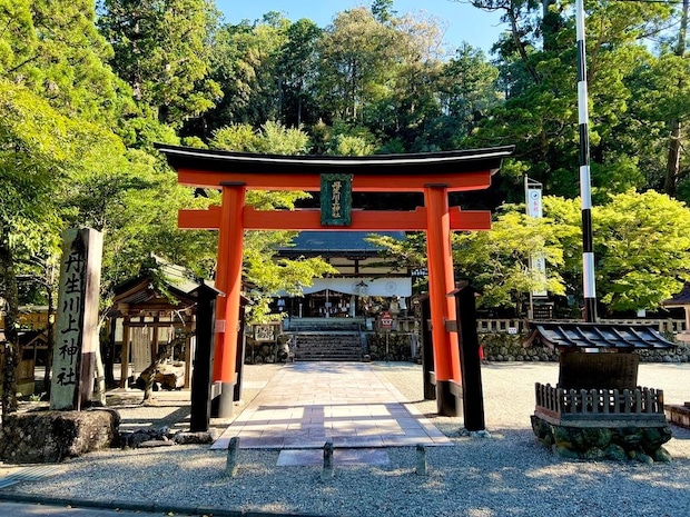 2024年は干支の「辰」にまつわる神社がイイ！ 佐藤ただすけさんに聞くパワースポット神社3選