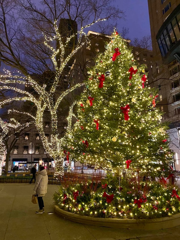 ホームアローンのロケ地に、本場顔負けなクリスマスマーケット、ワクワクが止まらないシカゴのクリスマス