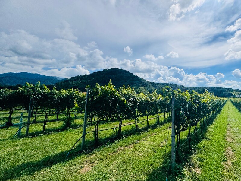 タイ・カオヤイで叶える、自然と癒しの「ご褒美ゴルフ旅」