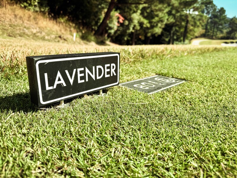 美しさは挑戦の中にある。デイビッド・M・デイルが描く新しいゴルフの風景