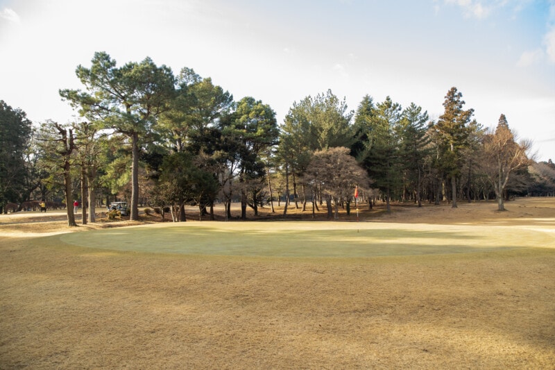 薄芝でも有効！アプローチが苦手ならパターを使ってみて