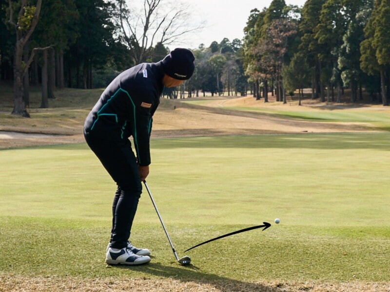 春先の薄芝に効く！硬い地面でもうまくいくアプローチのコツ
