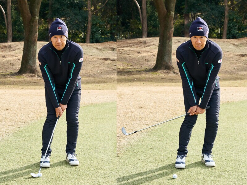 春先の薄芝に効く！硬い地面でもうまくいくアプローチのコツ