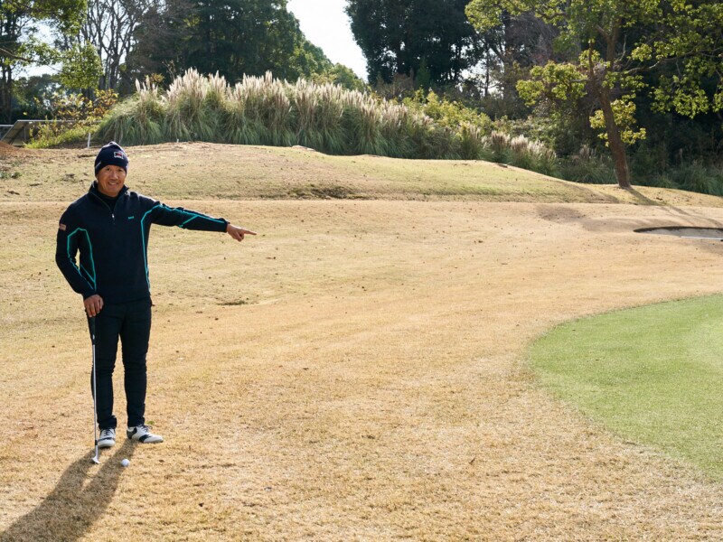 春先の薄芝に効く！硬い地面でもうまくいくアプローチのコツ