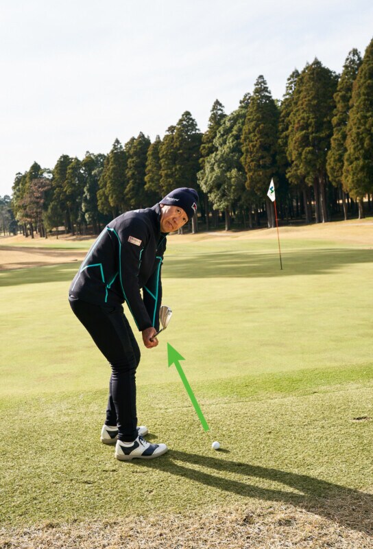 春先の薄芝に効く！硬い地面でもうまくいくアプローチのコツ