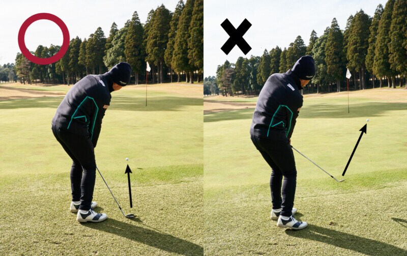 春先の薄芝に効く！硬い地面でもうまくいくアプローチのコツ