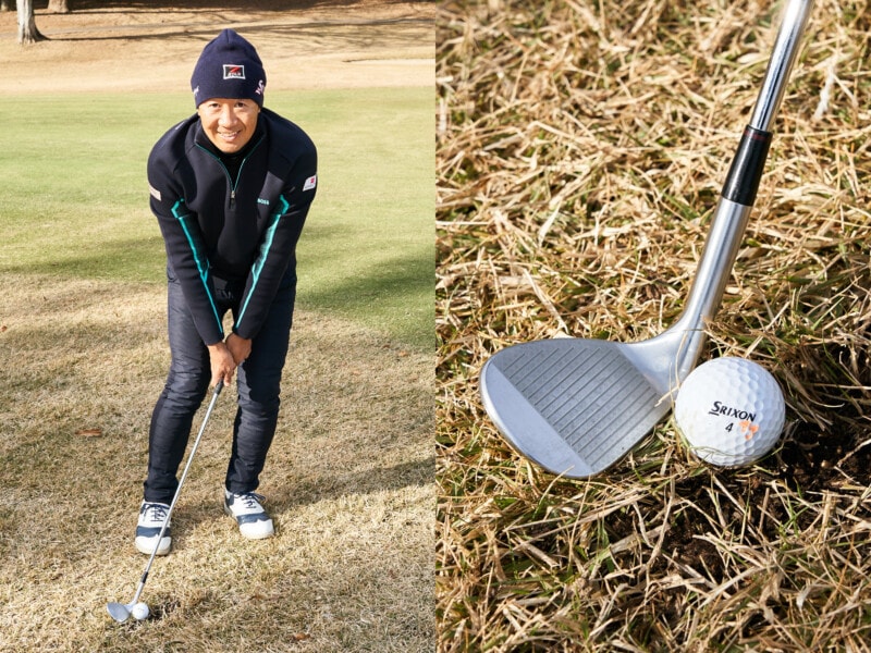 春先の薄芝に効く！硬い地面でもうまくいくアプローチのコツ