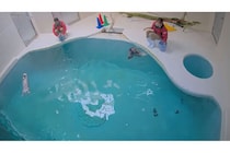 なんで900人しかみてないの？」→SNSユーザー殺到！？「無限ラッコ」「ずっと見てられる」地方の水族館の“ライブカメラ”が生んだ癒やしの大ムーブメント