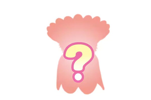 【シルバニア新作】異彩を放つ“シュールな1匹”にザワつくSNS… 発売前から8万いいね超え「歯かと思った」「岩ベビー」