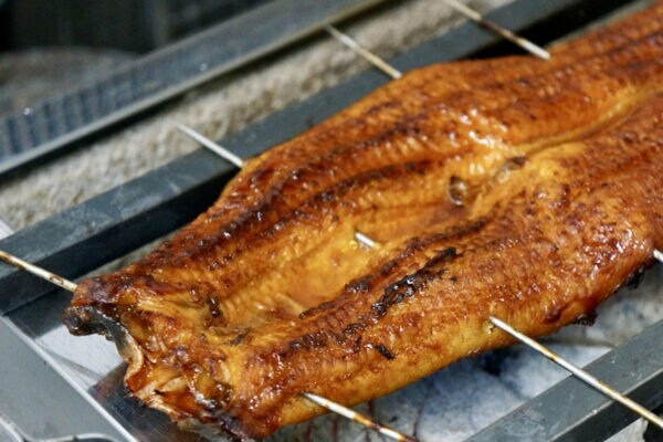 【なぜ】うなぎを生食しないの？「串打ち3年、裂き8年、焼き一生」うなぎ職人の修行が厳しい納得の理由