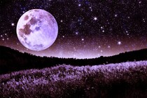 【調査】「秋の夜長」、みんな何してる？　約4割の人がやっている “あるコト”　「翌朝が眠い」人、驚異の割合！