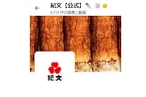 【紀文食品】まさかの商品化！　リアルな“焼き印”とふわふわ触り心地に…　「おでんを食べながら抱きたい」「猫が入りそう」