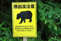 「本気を見た」「実用まで10年…」群馬知事の“命がけ”クマ対策にSNS賛否両論！？政治家の覚悟と実効性の壁