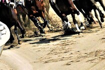 「もったいなくて鼻かめない」5年ぶりに復活“名馬ティッシュ”に注文殺到！即完売、サイト重い…競馬ファンではなくても欲しくなる理由とは