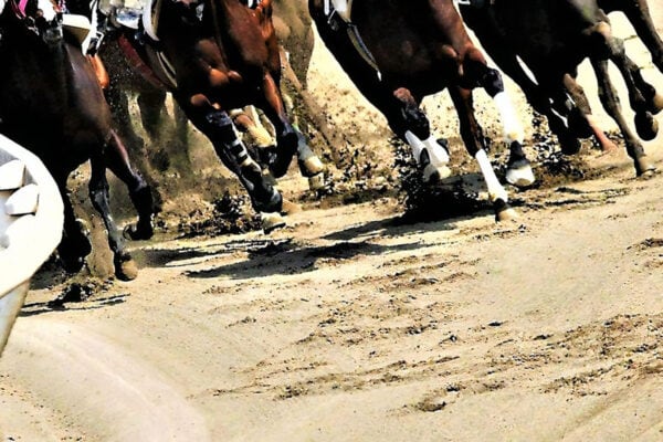 「もったいなくて鼻かめない」5年ぶりに復活“名馬ティッシュ”に注文殺到！即完売、サイト重い…競馬ファンではなくても欲しくなる理由とは