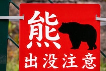 【クマ被害】殺処分の “賛成派”“反対派” の割合は？　1000人アンケート調査に見る、日本人の「危機意識」