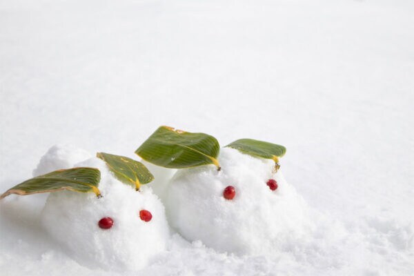 “親子で楽しみたい”【年始の行事ランキング】2位は「雪遊び」だが…年齢で“別物”に変化…。7割が選んだ不動の1位は？